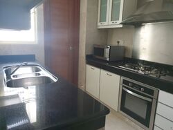 Wilkie Regency (D9), Apartment #587220481